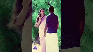 வாடையாய்  Poove Eduthu Video Song  Amman Kovil Kizhakale Movie  Vijayakanth  Radha  shorts [upl. by Boyd]