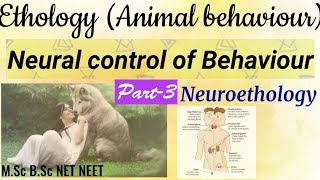 33Neural control of BehaviourNeuroethologyNervous systemNeural and hormonal control of Behaviour [upl. by Esdnil]