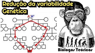 GENÉTICA DE POPULAÇÕES  Heterozigosidade e Evolução [upl. by Dorreg]