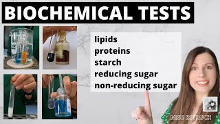 how to conduct starch test for leaf EM Iodine test  Identification test for starch in the leaf [upl. by Dimitri18]