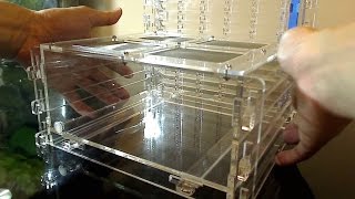 Ant Farm  Omni Nest Vertical Unboxing amp Instructional Video [upl. by Yecak]