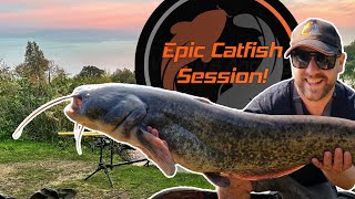 How I Caught 18 Catfish In A Day Session  Rigs and Catfish Tips [upl. by Hpesoj]