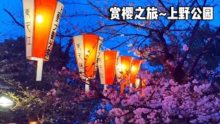 赏樱之旅～上野公园，夜晚的天空配上小灯笼，宛如一幅浑然天成的壮丽画卷【行走世界的北京老刘】 [upl. by Hannan]