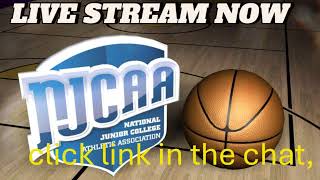 John Wood Community College vs St Louis Community College  Div 2  NJCAA Womens Basketball 2024 [upl. by Kabob]