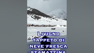 Livigno  tappetino di neve fresca 23 gennaio 2024 meteolivigno livignoskiresort [upl. by Kristo676]