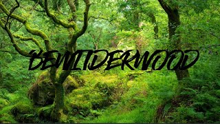 BeWILDerwood 2021 [upl. by Eizzil]