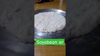 Soyabean er paneer koptapaneerrecipewithoutonionandgarlic soyabeanerpaneerkoptarecipe cooking [upl. by Eimmak]