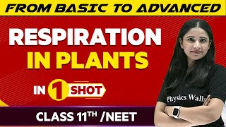 Respiration in Plants in One Shot  NEETClass 11th Boards  Victory Batch [upl. by Carey293]