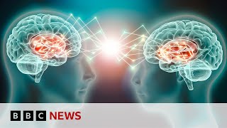 How two brains can synchronise and why it matters  BBC News [upl. by Barnard87]