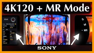 New Photo and Cinema Pro tips for the Sony Xperia 1 II running Android 11 [upl. by Martguerita]