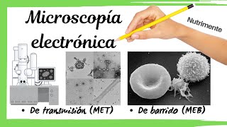 Microscopía ELECTRÓNICA  de Transmisión y De Barrido [upl. by Thedrick609]