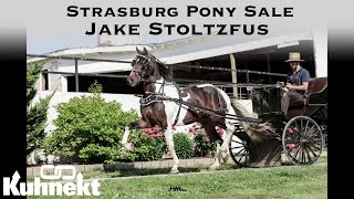 Strasburg Pony Sale Podcast with Jake Stoltzfus Sale Manager [upl. by Alilad546]