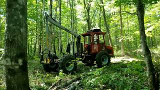 Transporteur Sylvicole Levesque  1  Entrée en forêt [upl. by Rhiamon]