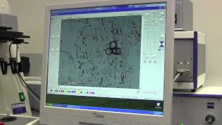 Laser Capture Microdissection 3 Additional Controls and Cleaning Up [upl. by Yuji]