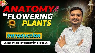 Anatomy in Flowering Plants  Introduction amp meristematic tissue  Manjul Sir  Horizon Academy [upl. by Wagshul]