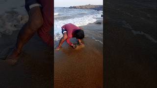 Catching Mole Crabs with Empty Hand fishing fishingvideos thoondilulagam seafishing [upl. by Akemed708]