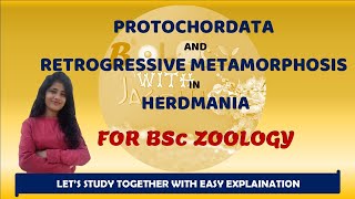 PROTOCHORDATES AND RETROGRESSIVE METAMORPHOSIS IN HERDMANIA BSC ZOOLOGY 1 YEAR BIOLOGYWITHJAGRITI [upl. by Arriec286]