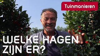 Welke hagen kies je en waar koop je deze  Tuinaanleg  Tuinmanieren [upl. by Ferrigno107]