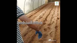 Basamid Soil treatment [upl. by Oludoet869]