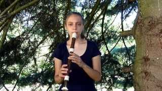 Adiemus  In Caelum Fero recorder cover [upl. by Haney]