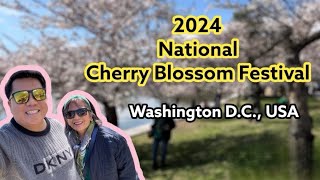 2024 National Cherry Blossom Festival  Washington DC USA [upl. by Olmsted238]