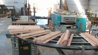 Monari Pallets srl [upl. by Hodgkinson606]