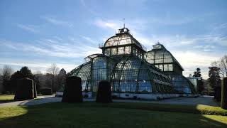 Palmenhaus Spaziergang Wien Schlosspark Schönbrunn [upl. by Newbold916]