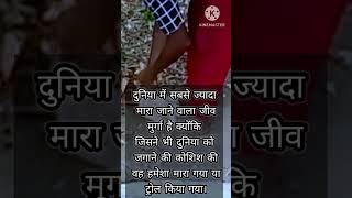 new sayari video sabse Marne jaane wala jeev miss you murga ke liye sayari youtubeshorts shorts [upl. by Corydon]