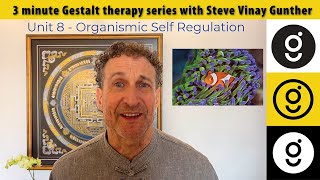 Organismic Self Regulation • 3 minute Gestalt series 8 [upl. by Alol]