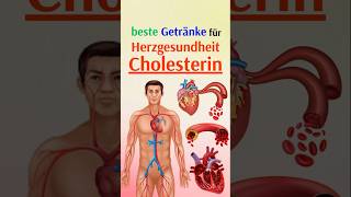 Die besten Getränke für Herzgesundheit und Cholesterin [upl. by Yves]