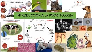 Introducción a la Parasitología Veterinaria [upl. by Asiled]