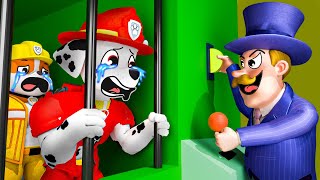 Paw patrol episodes 3 ► Marshall Turn into Dolls by Mayor Can They Escape [upl. by Ryder]