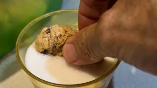 Plantbased cookies amp milk [upl. by Valencia]