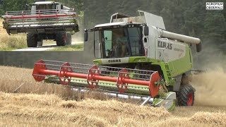 MONTANA on MOUNTAIN Claas Lexion 570 Sonderlackierung  Getreide dreschen  Landwirtschaft Preis [upl. by Ayr]