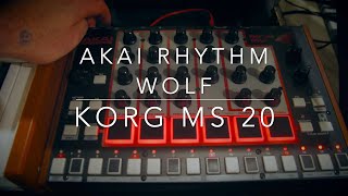 Akai Rhythm Wolf ft Korg MS20 [upl. by Roux482]