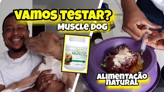 Alimentação e muscle dog para pitbull [upl. by Feodora]