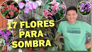 17 PLANTAS COM FLORES para ambientes SOMBREADOS ou internos [upl. by Nalced]