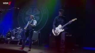 Flogging Molly  Live at Serengeti Festival 2014  Full [upl. by Rachelle]