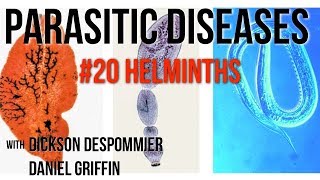 Parasitic Diseases Lectures 20 Helminths [upl. by Mars]