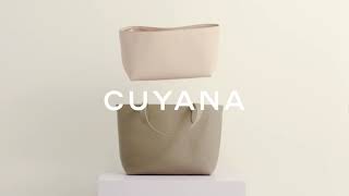 Tote and Insert Cuyana Cultfavorite [upl. by Anayek]