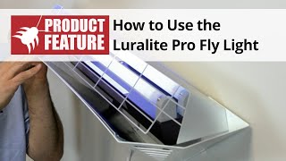 How to Use the Luralite Pro Fly Light [upl. by Conal]