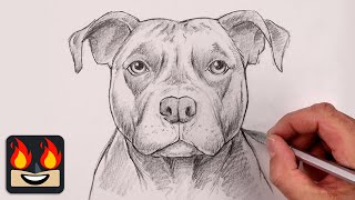 How To Draw a Dog  Pit Bull Terrier [upl. by Zindman]