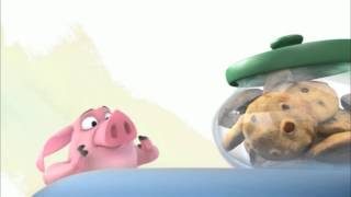 Ormie Funny Pig want cookies [upl. by Naed]