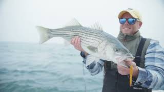 Hogy HowTo Finicky Striped Bass hogylures stripedbass fishing [upl. by Chung920]