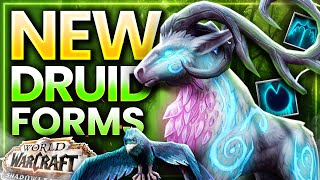 NEW Druid Forms amp How to Get Them Guide  Shadowlands Patch 915 [upl. by Morissa]