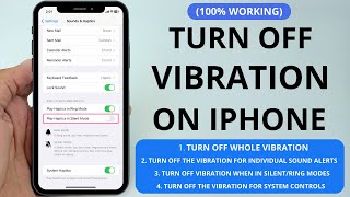 How to Turn Off Vibration On iPhone 2024 [upl. by Noj801]