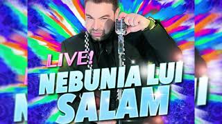 Florin Salam Nebunia lui Salam Colaj Manele Live [upl. by Enomas185]