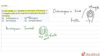 Mature ovules are classified on the basic of funiculus If micropyle comes to lie close to the funi [upl. by Ahsinal415]