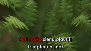 Div pļaviņas es nopļāvu KARAOKE [upl. by Moishe]