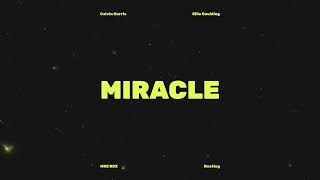 Calvin Harris Ellie Goulding  Miracle MKE RDZ Bootleg [upl. by Aline]